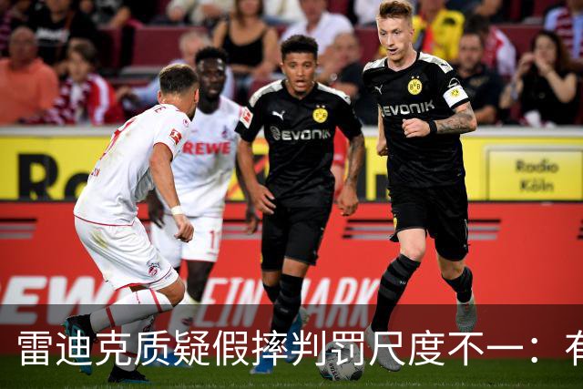 雷迪克质疑假摔判罚尺度不一：有接触就不算假摔？