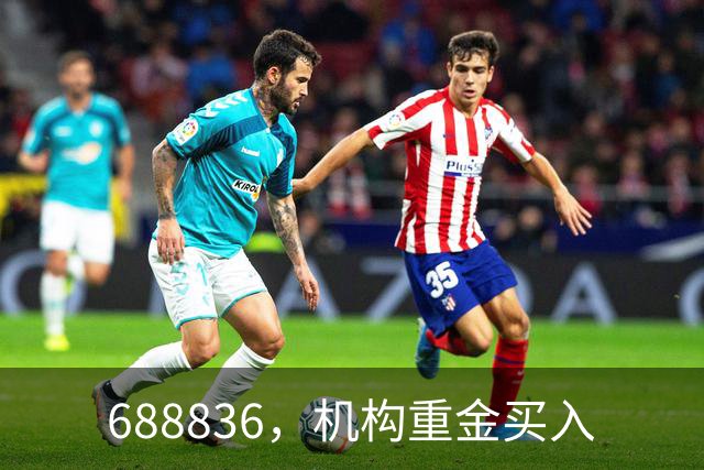 688836，机构重金买入
